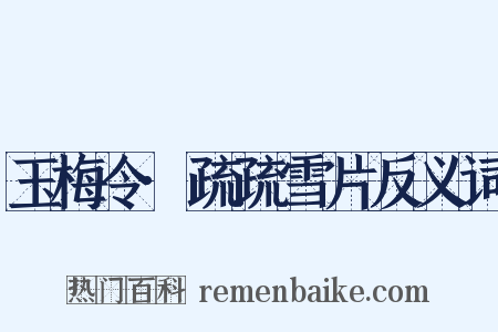 玉梅令·疏疏雪片反义词是什么意思的图片